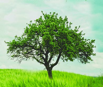 Contemplation: An Islamic Psychospiritual Study - Bosnian