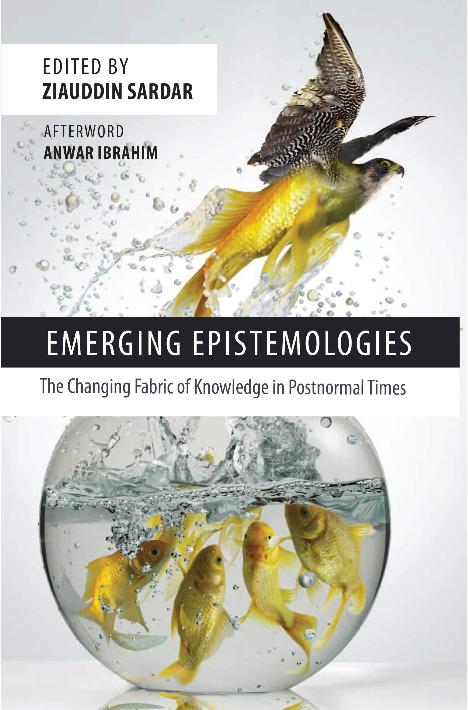 Emerging Epistemologies: The Changing Fabric of Knowledge in Postnormal Times